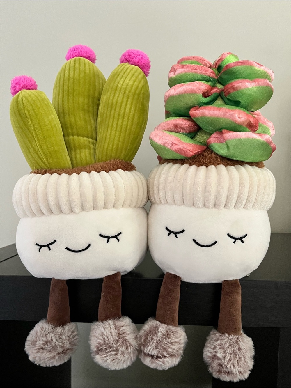 Plush Cactus & Succulent Hanging Toy Pair - Pink & Green